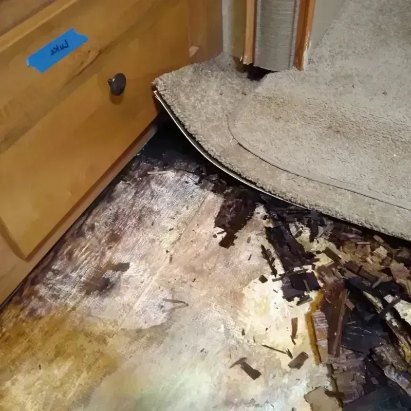 Wood Floor Water Damage in Arcadia, SC